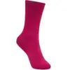 Image de Chaussettes La Sportiva Merino Rose S (35/37) ZZHS011-P19R25