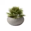 Image de Qeeboo NAMI PLANTER
