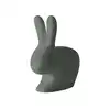 Image de Qeeboo RABBIT CHAIR MIX