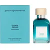 Image de AGUA FRESCA CITRUS CEDRO eau de toilette vaporisateur 120 ml