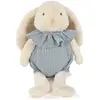 Image de Peluche Lapin Velours Et Coton Gris
