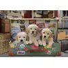 Image de Puppies in the Luggage 500 Pièces Educa