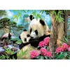 Image de Panda 1000 Pièces Educa