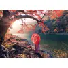 Image de Sunrise in Katsura River, Japan 1000 Pièces Educa
