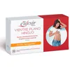 Image de SALUD vientre plano hinojo comprimidos 32 u
