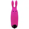 Image de Stimulateur Clitoridien Pocket Vibe Rabbit