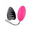 Image de Oeuf vibrant Magic Egg 3.0