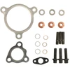 Image de EVORON EVMK0158 Kit de montage, compresseur avec joints, syringe with oil