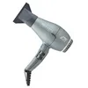 Image de PARLUX DIGITALYON sèche-cheveux #gris pailleté