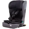 Image de Siège Auto I-size Isofix 76-150 Cm Profix Gris