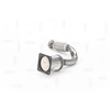 Image de NAP carparts CAK10131 Catalyseur