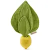 Image de Doudou De Dentition Jaune, Vert