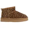 Image de Bottines femme Pepe Jeans Dissy Leo Marron 36 PLS500041-877