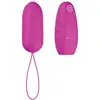 Image de Oeuf vibrant Bnaughty Classic Unleashed