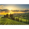 Image de Puzzle XL - Vignoble Maremma 500 Pièces Dino