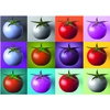 Image de Pop Art - Tomates 1000 Pièces Dino