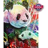 Image de Rainbow Panda 1000 Pièces Perre / Anatolian