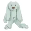 Image de Peluche Lapin Richie 28 Cm Vert