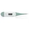 Image de Thermomètre Digital Alecto Bleu
