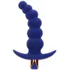 Image de Plug Anal Vibrant The Spunky