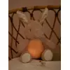 Image de Peluche musicale et lumineuse Lapin beige