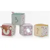 Image de Lot De 4 Cubes Doux - Fairy Garden