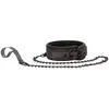 Image de Collier et Laisse Elegant