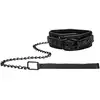 Image de Collier et Laisse Luxury
