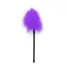 Image de Plumeau Plume