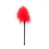 Image de Plumeau Plume