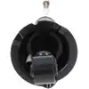 Image de KAVO PARTS SSA-2006 Amortisseur Essieu arrière, Système bitube, Pression de gaz, Amortisseur sur ressort, Goujon en haut