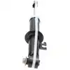 Image de KAVO PARTS SSA-10332 Amortisseur Essieu arrière, Système bitube, Pression de gaz, Amortisseur sur ressort, Goujon en haut