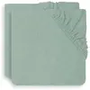 Image de Housse Matelas À Langer Éponge (2 Pcs) En Coton Vert Poudré