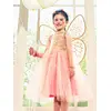 Image de Déguisement Joanna : robe + ailes corail