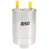 Image de BSG BSG 75-130-003 Filtre à Carburant Préfiltre