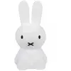 Image de Veilleuse Bundle Of Light Miffy (15 Cm) Blanc