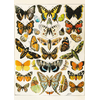 Image de Papillons - Millot 1000 Pièces Piatnik
