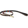 Image de Laisse pour chien en cuir Weatherbeeta Polo Marron M 1001698010