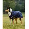Image de Manteau pour chien Weatherbeeta Comfitec Premier Deluxe Bleu 65 cm 1028800019