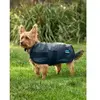 Image de Manteau pour chien impérméable Weatherbeeta Comfitec Classic Vert 55 cm 1029048017