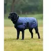 Image de Manteau pour chien impérméable Weatherbeeta Comfitec Classic Bleu 50 cm 1029048027