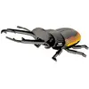 Image de Puzzle 3d - Coléoptère Lucanidae Multicolor