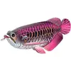 Image de Puzzle 3d - Poisson Dragon Pink