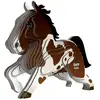 Image de Puzzle 3d - Cheval Multicolor