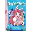 Image de Enchantimals Tome III : Un mystère pour Bree - Mattel en occasion ou reconditionné