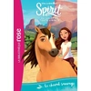 Image de Spirit 01 - Le cheval sauvage - Dreamworks en occasion ou reconditionné