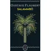 Image de Salammbô - Gustave Flaubert en occasion ou reconditionné