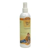 Image de Spray Set - Conditionneur et texturisant - Bio Groom