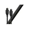 Image de CABLE OPTIQUE PEARL 0.75 M