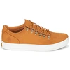 Image de Baskets basses Timberland  ADV 2.0 CUPSOLE ALPINE OX